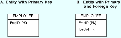 Entities with Key Attributes